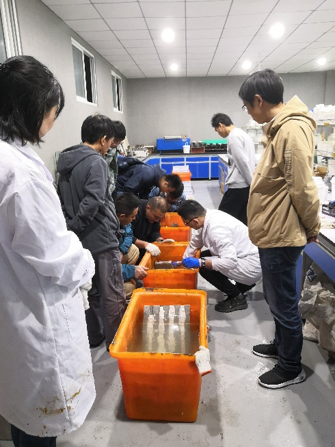 首页 - CG电子官方网站