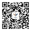 6163银河 Vision Plus Capital